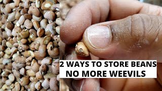 2 Ways to Store Dry Beans | How to Store Beans | No More Weevils