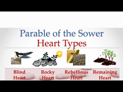 CATHOLIC MEDITATION: Saturday - 20 September, 2025. (24th Week - Ordinary Time, Year C).