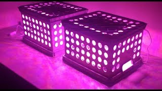 Microgreens Quest Begins