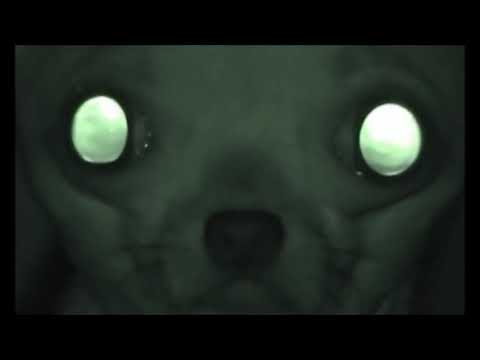 The Prodigy - Resonate