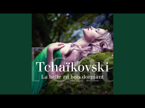 La Belle au bois dormant : Pas d'action