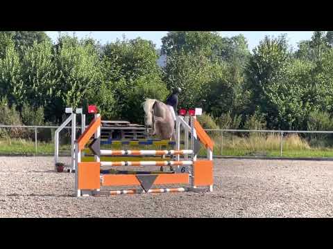 CAMIRO W (5yo Colman) 16.07.22 Dietmannsried - SPF A**