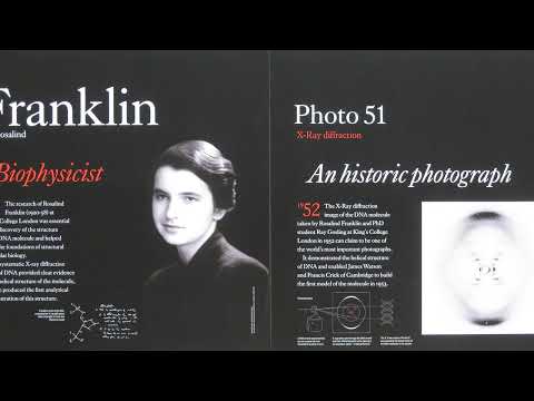 The Untold Story of Rosalind Franklin: DNA's Unsung Hero