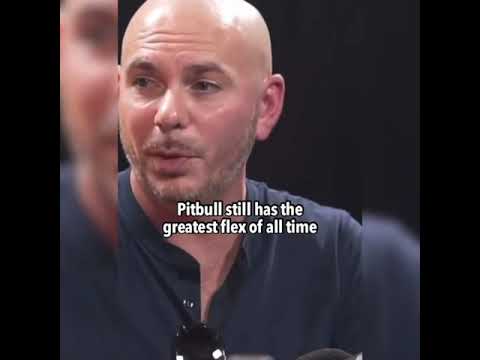 Pitbull's greatest flex ever 😂. #shorts #youtube #music #pitbull #flex #google #hiphop #culture
