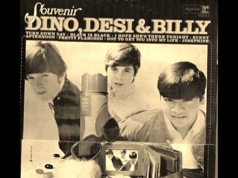 Dino, Desi & Billy - Josephine