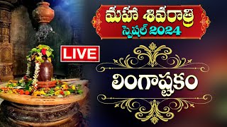 Live : Maha Shivaratri Special 2024  Lingashtakam 