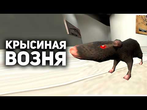 Эти скандалы настолько тупые, что я потерял сознание