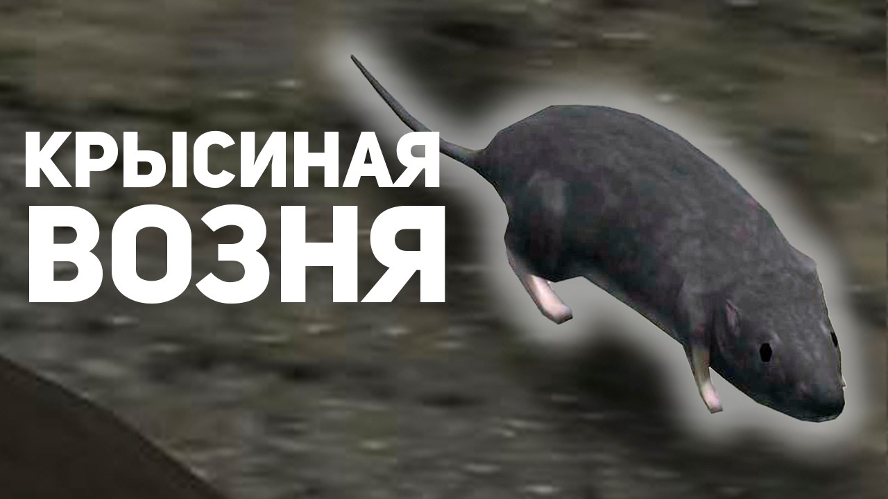 Эти скандалы настолько дебильные, что я ОТУПЕЛ