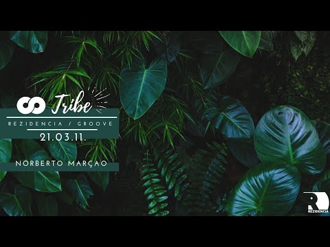 Rezidencia Groove - Tribe - Norberto Marcao (2021.03.11.)