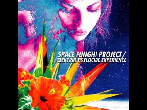 Space Funghi Project - Elektrik Psylocibe X-P