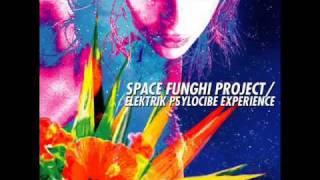 Space Funghi Project - Elektrik Psylocibe X-P