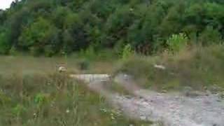 preview picture of video 'Hatfield McCoy small jump local trails'