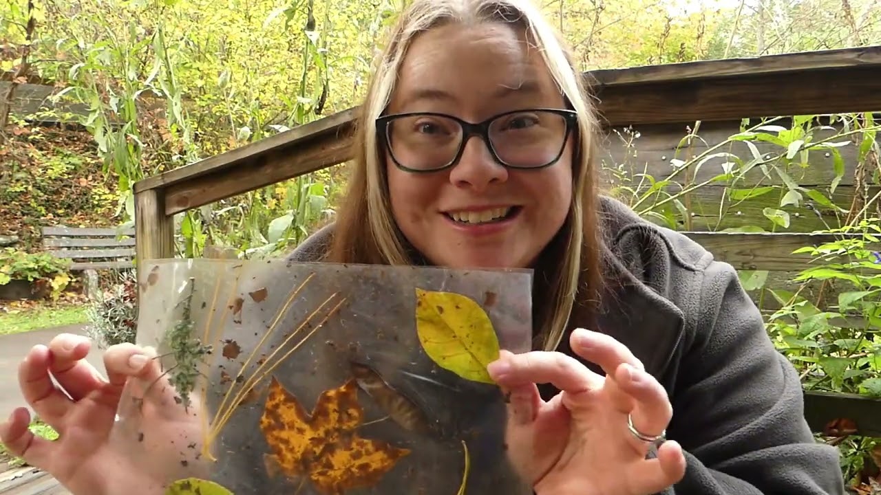 December 2023 Cubs and Kits video