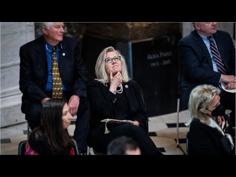 Liz Cheney 'is the face of the Washington swamp'