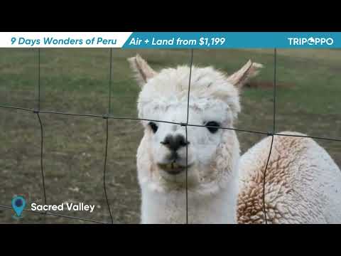 $1199+ for 7nights 9days Wonders of Peru with Machu Picchu -TripOppo