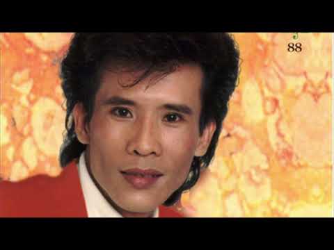 BÀI CA KỶ NIỆM  - TUẤN VŨ