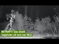 Nico weet eindelijk wie toch die dief in zijn tuin is