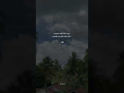 megla din  #tiktok #highvibes #viralvideo #shorts #highlights