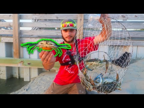 Steamed Blue Crabs Myrtle Beach : Top Picked from our Experts