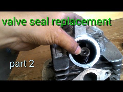 download lagu mp3 mp4 Bob Seal, download lagu Bob Seal gratis, unduh video klip Bob Seal