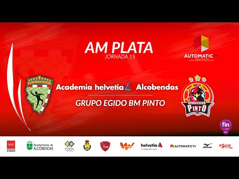 AM PLATA jornada 15 ACADEMIA HELVETIA ALCOBENDAS - GRUPO EGIDO BM PINTO
