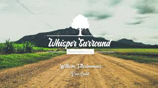 William Fitzsimmons -  Ever Could