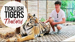 Catch a Tiger by the Tail