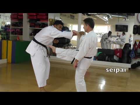 Seipai Bunkai Snippets