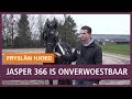 REPO: Hengst Jasper 366 is onverwoestbaar
