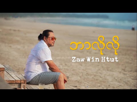 ဇော်၀င်းထွဋ် - ဘာလိုလို (Lyric Video)