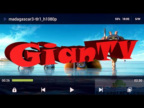 Video preview
