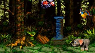 preview picture of video 'Donkey Kong Country 3: 105% Q - Leaping Bounds'