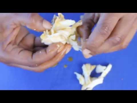 download lagu mp3 mp4 Crab Hard Shell, download lagu Crab Hard Shell gratis, unduh video klip Crab Hard Shell