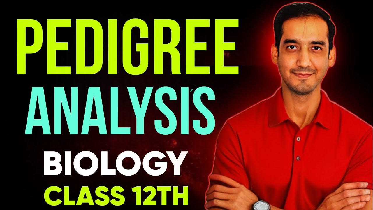 Pedigree Analysis | NCERT | Biology 12th | CBSE Board | 2025