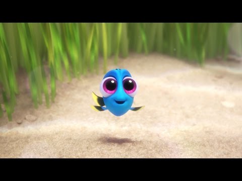 Finding Dory (Clip 'Baby Dory')