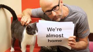 Moby - Almost Home (Best Friends Animal Society Lyric Video) with Damien Jurado