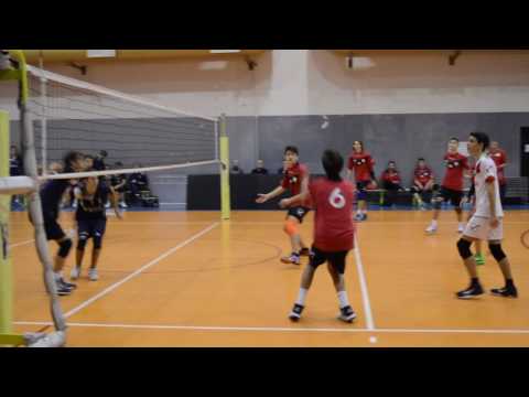 Energy Volley Parma - #VT18