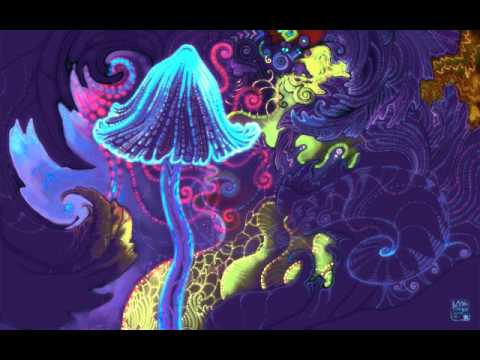 Psilocybe Project - Dance with me