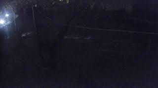 Budapest · Budapest XIII. keruelet · Elephants Budapest Zoo live stream