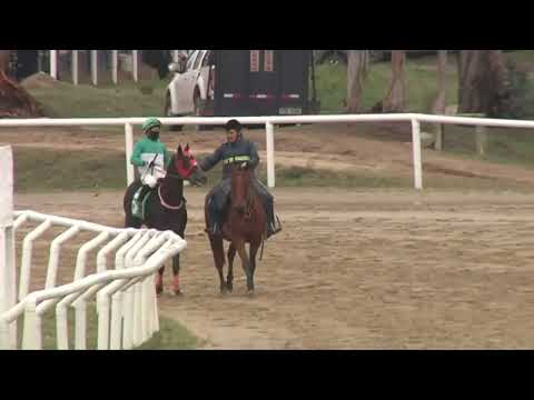 13/07/2023 – Hipodromo Florida – Carr 4 – 108º ANIVERSARIO DEL CLUB SOCIAL Y DEPORTIVO ...