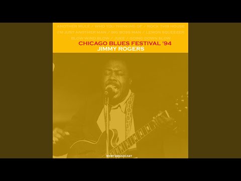 Blow Wind Blow (Live)