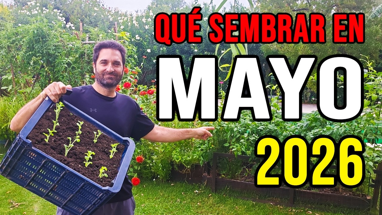 Calendario de Siembra 2026: Que sembrar en MAYO en el Huerto - Otoño y Primavera