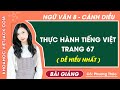 Thực hành tiếng Việt trang 67 Ngữ văn lớp 8 Cánh diều