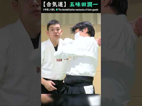 五味田潤一:崩しのメカニズムで相手を倒す【解説】#short #aikido