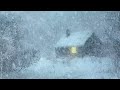 11 Hours Blizzard Sounds Experience For Sleeping Winter Storm Sound Heavy Snowstorm Relaxing
