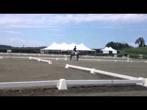 Prelim test b millbrook horse trials