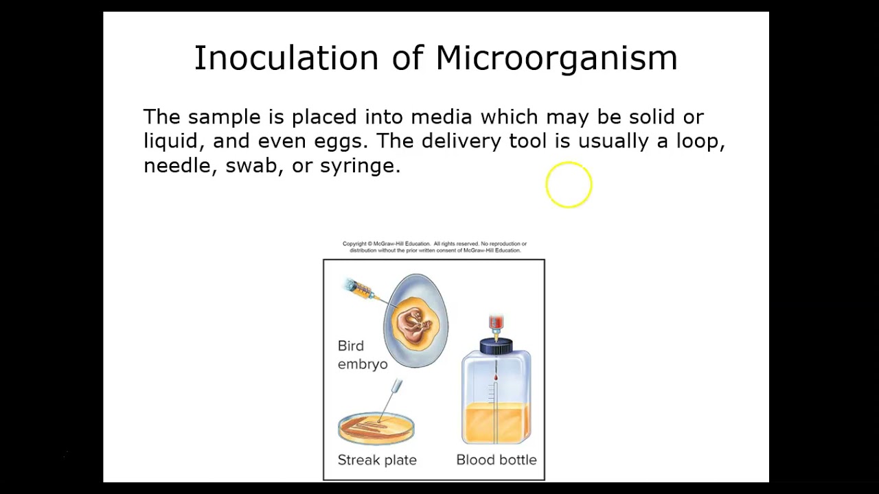 BIO 235 Chapter 3 Talaro