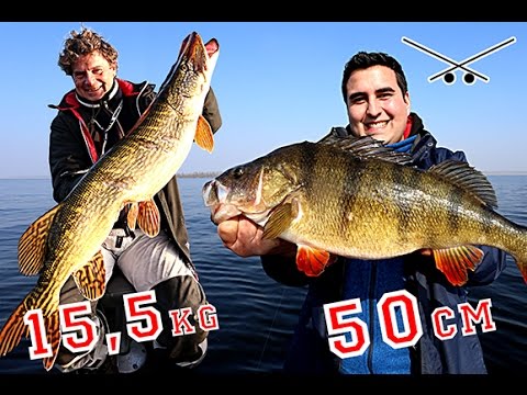 Epic Fishing - XXL Pike & XXL Perch - Crazy fishing with Uli Beyer's lures