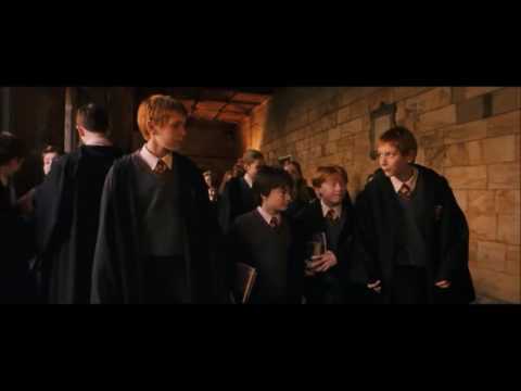 Harry Becomes a Seeker   Harry Potter and the Philosopher's Stone