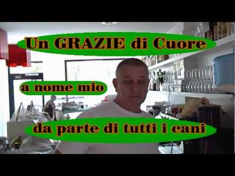 Osteocondrosi di collo e spalla reparto Trattamento lussazione dellanca dei bambini